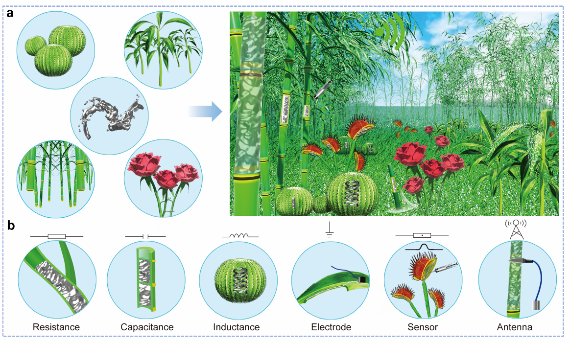 清華大學劉靜教授團隊《Mater. Today》：首次提出液態(tài)金屬植物注射電子學
