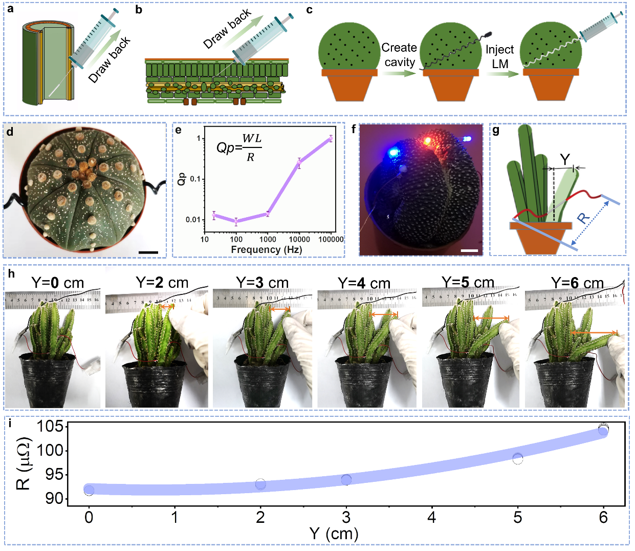 清華大學劉靜教授團隊《Mater. Today》：首次提出液態(tài)金屬植物注射電子學
